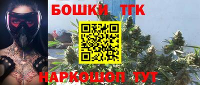 spice Бийск
