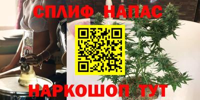 spice Бийск