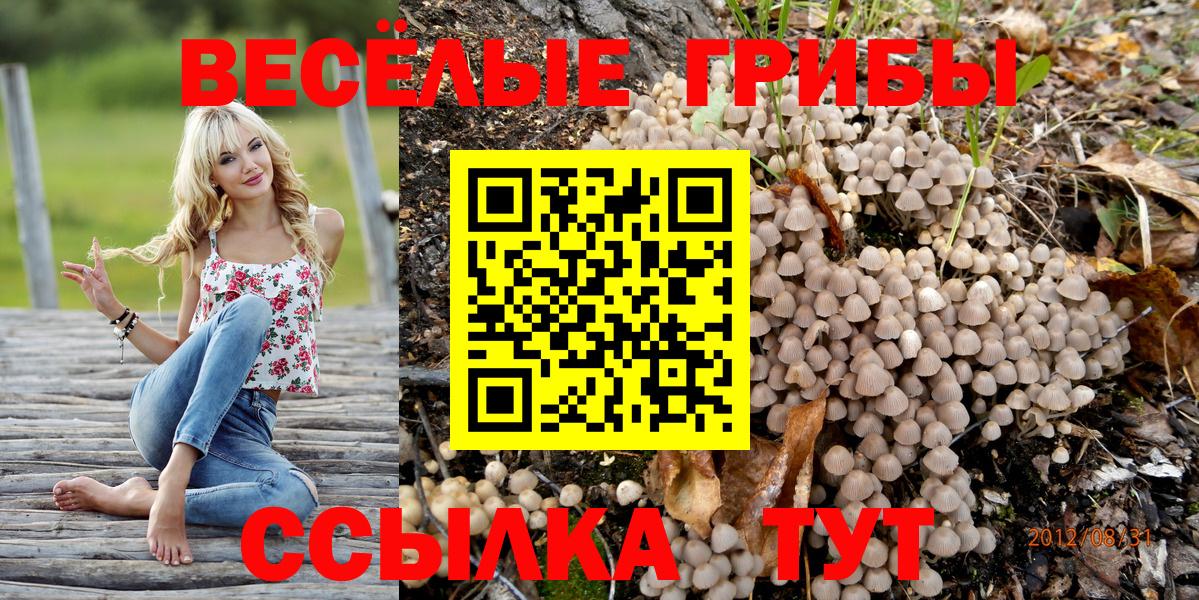 Тельмана  закладки  Галлюциногенные грибы GOLDEN TEACHER  Вход с VPN  Галлюциногенные грибы Cubensis 